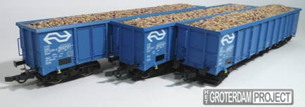 Roco 66139 - Foto: Chris van Diesen